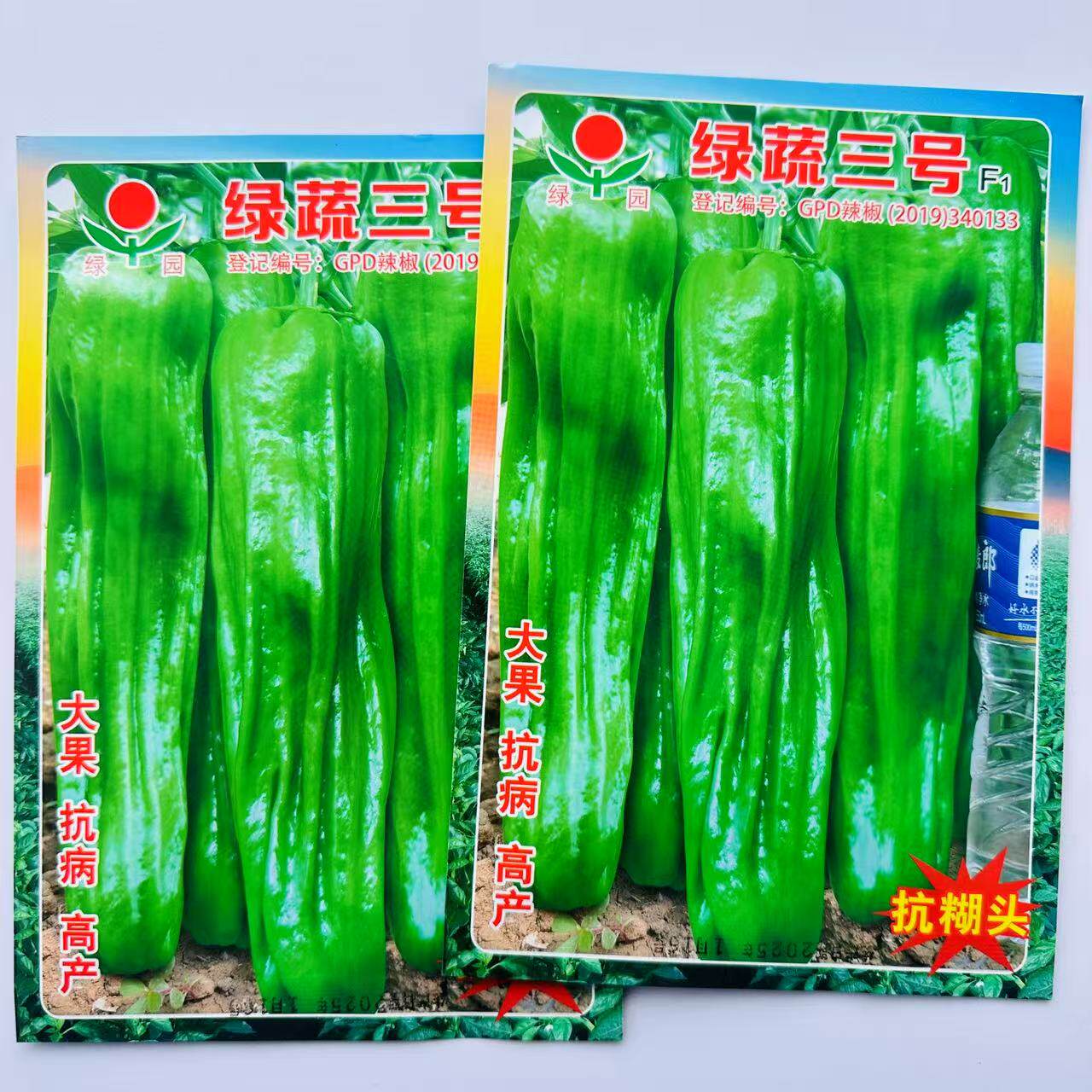 绿蔬三号杂交大果辣椒种子大果长灯笼型味辣皱皮薄皮鲜食青红两用