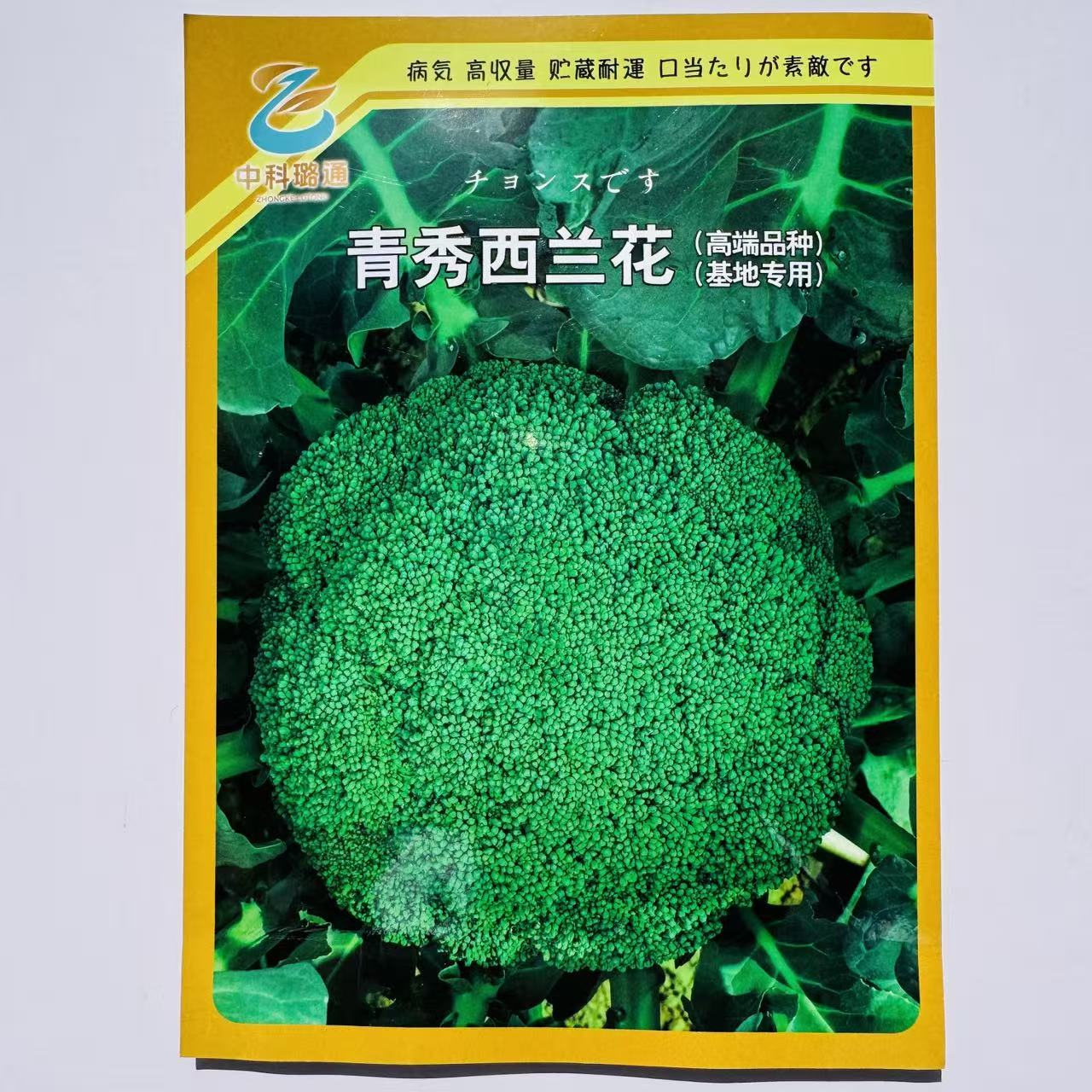绿秀西兰花种籽子20粒早熟