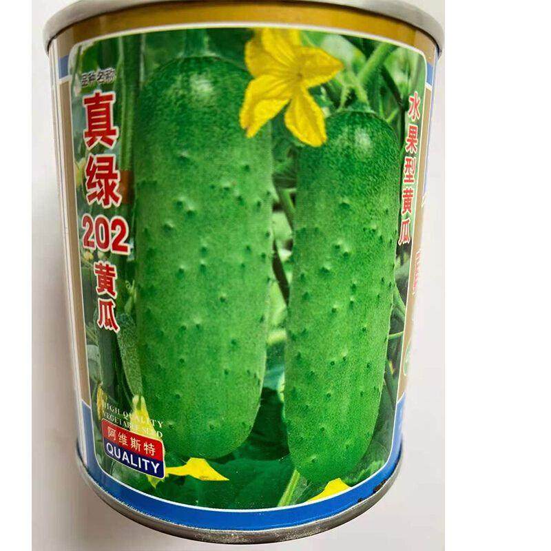 苏瑞 蓟农黄瓜种子真绿202财富水果型黄瓜高产优质大棚蔬