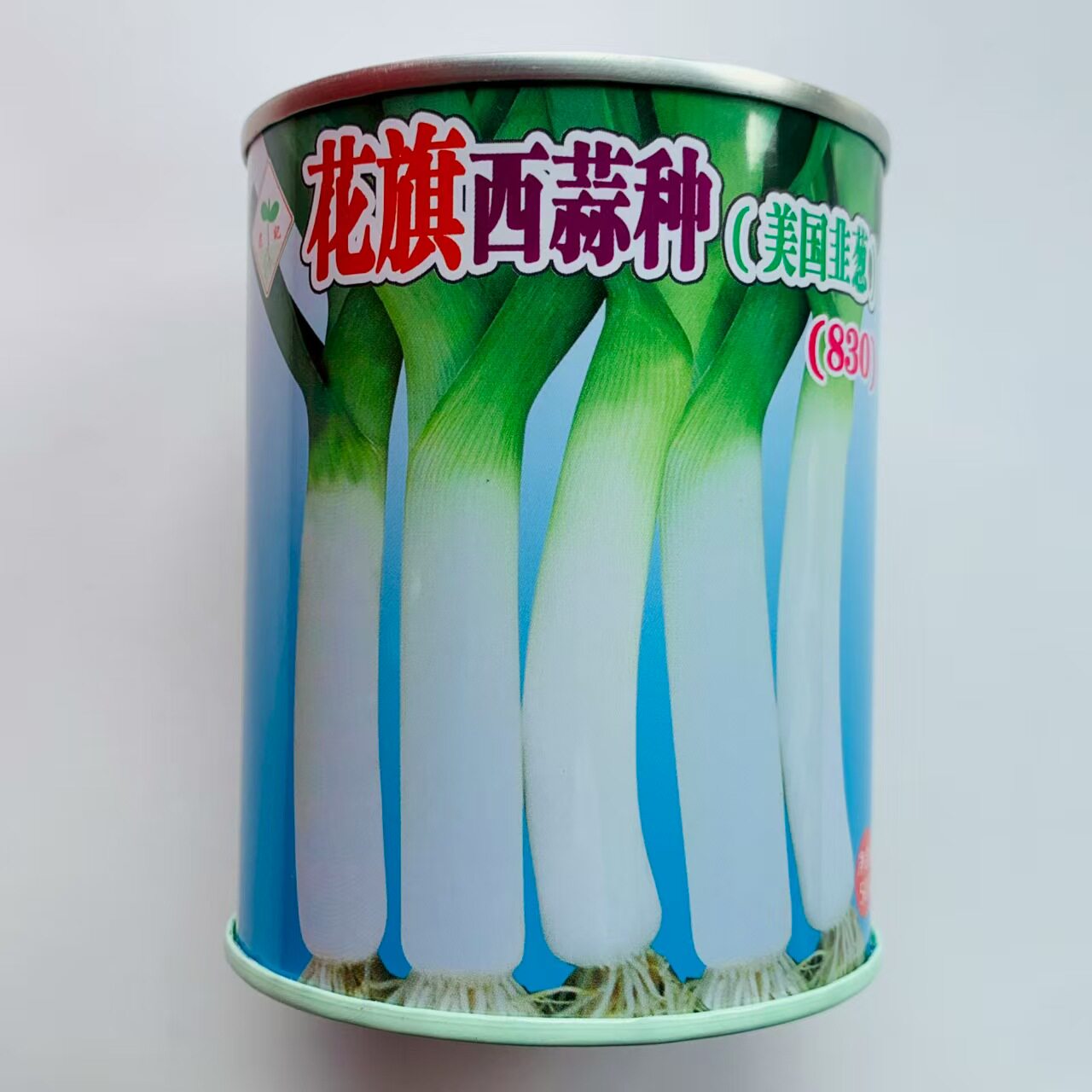 蒜苗种子花旗西蒜种子美国韭葱扁叶葱大蒜耐热耐寒春秋蒜薹种子籽