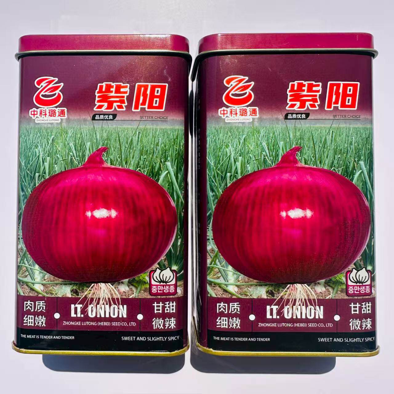 璐通紫阳紫红皮洋葱种子中日照半高桩型圆葱种子口感甜脆辣味适中