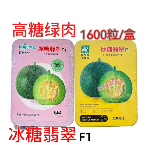 冰糖翡翠甜瓜种子绿宝冰糖翡翠早熟香甜高产耐低温耐弱光大田基地