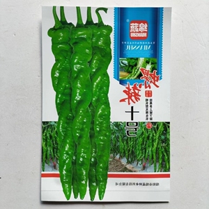 螺辣十号无限生长型螺丝辣椒种子麻花螺丝椒高产味辣形好螺辣9号