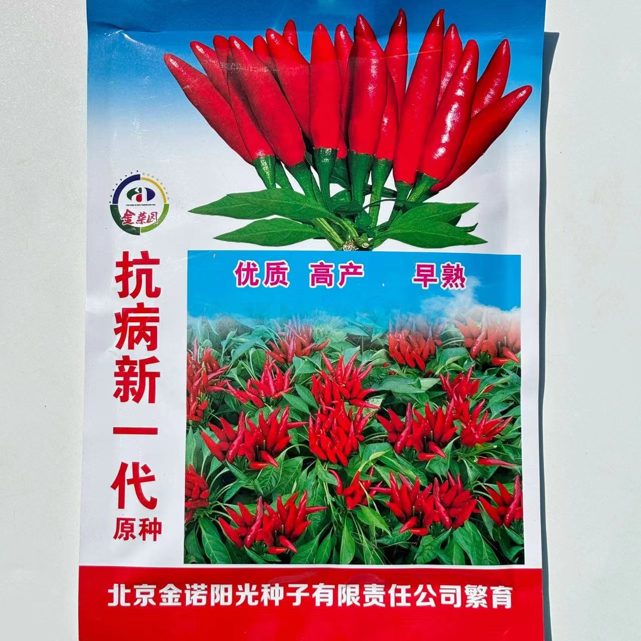 椒王日本原种辣椒种子新一代出口创汇型品种果皮油亮辣味浓抗病强