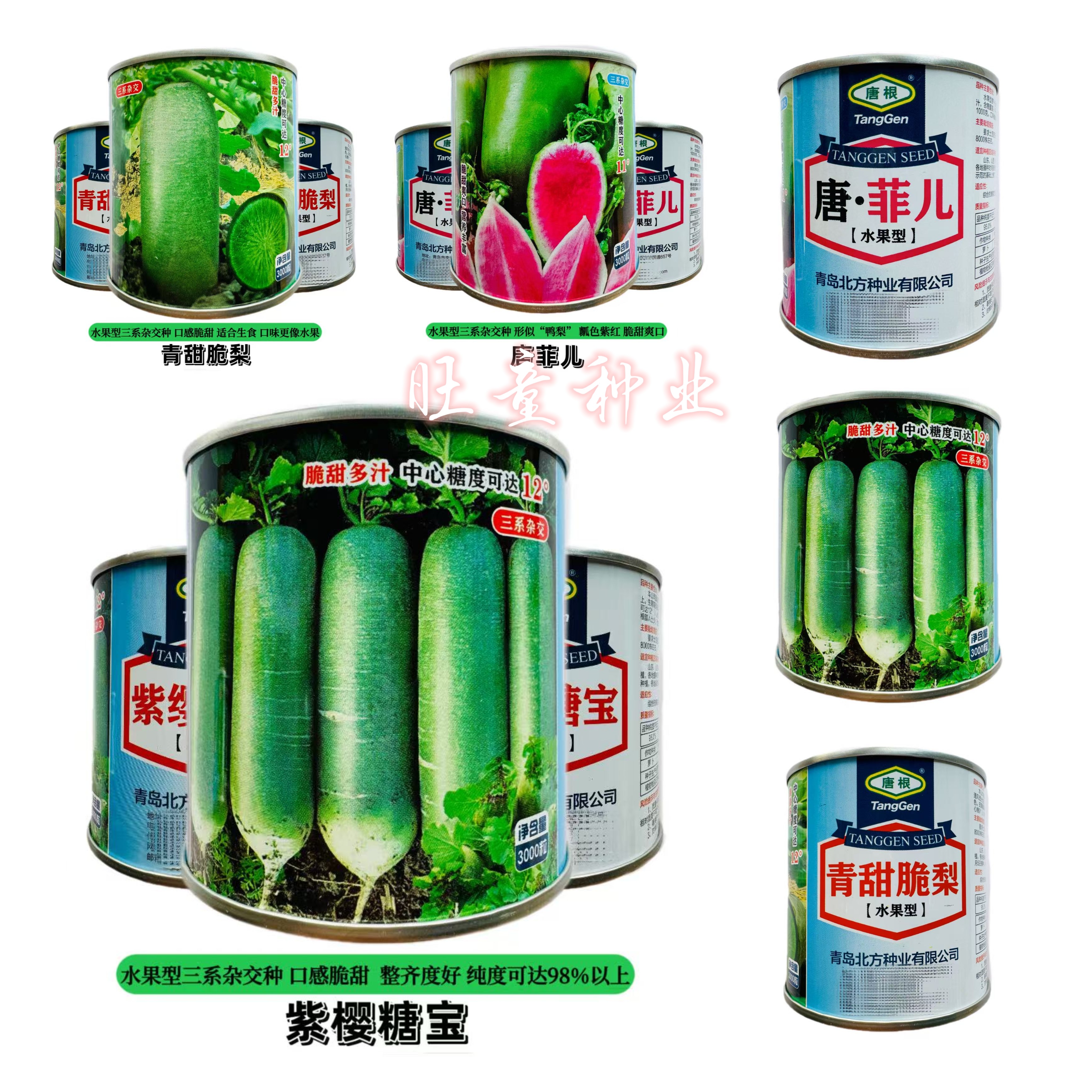 青甜脆梨水果型萝卜种三系杂交表皮光滑翠绿脆甜微辣多汁萝卜种子