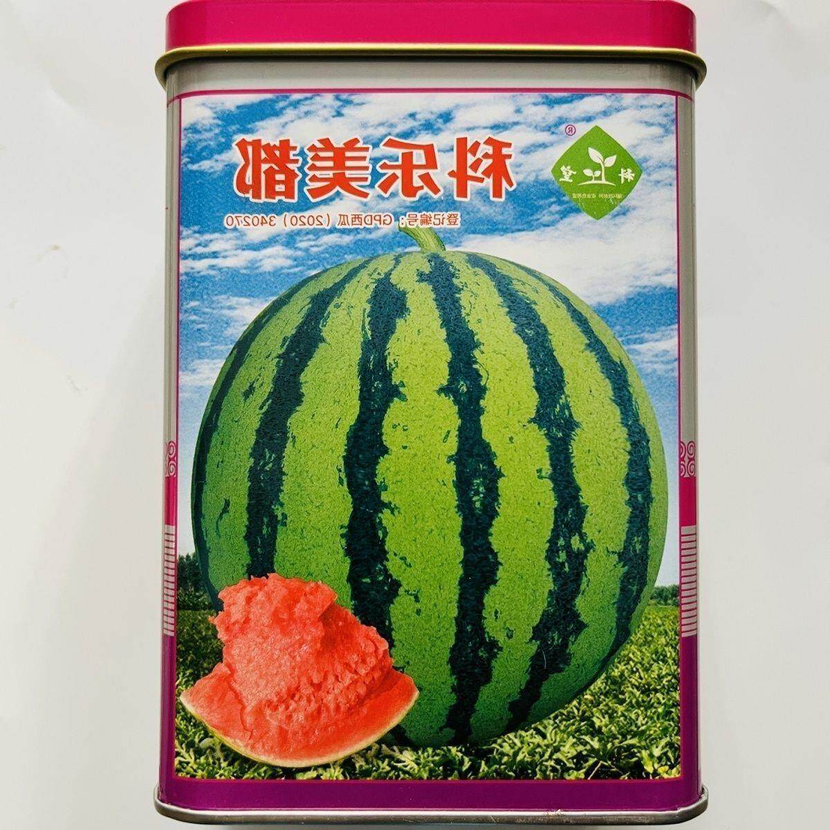 科乐美都西瓜种子早熟品种耐放高产正宗浙江西瓜种籽8424西瓜种孑