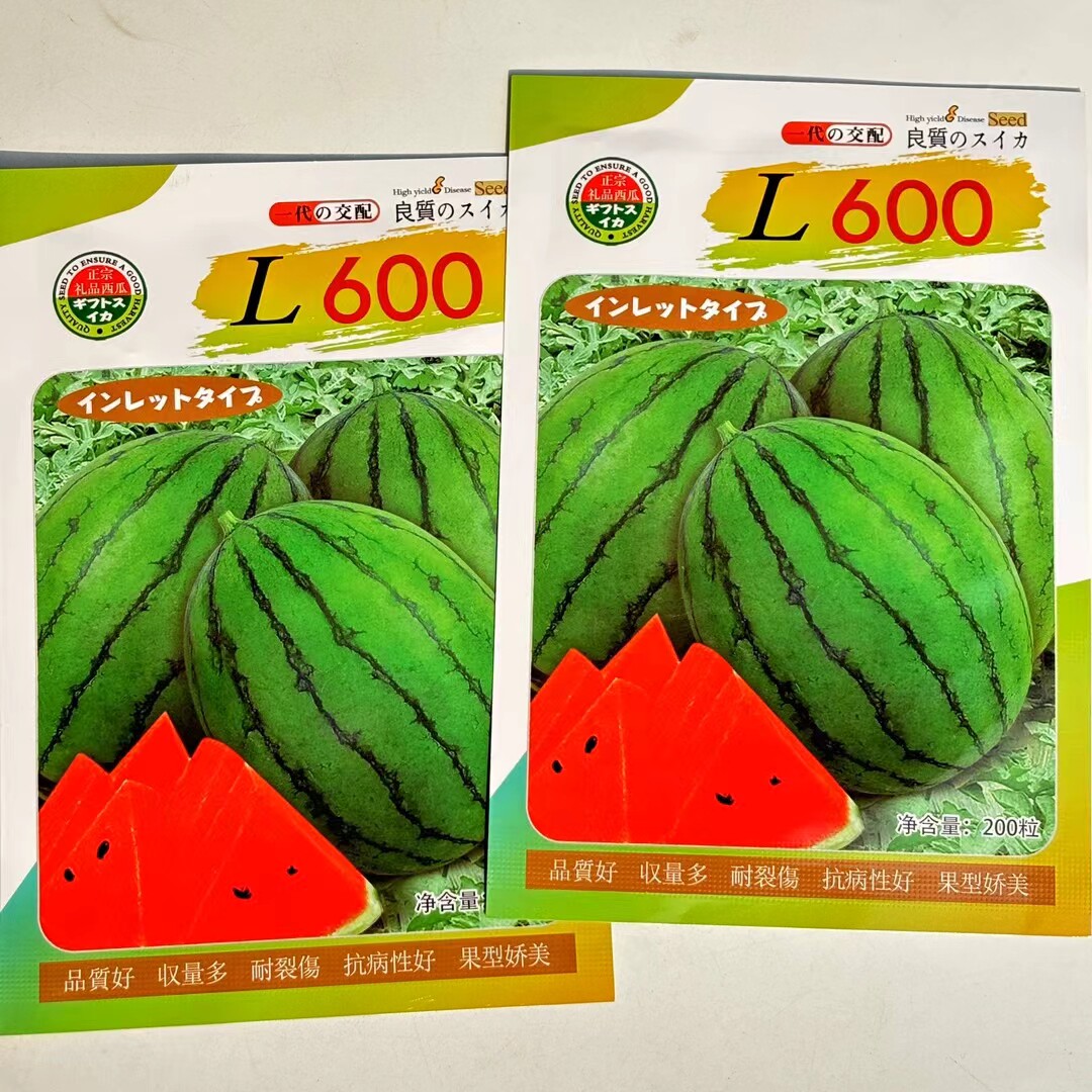 L600 高档礼品小西瓜种子 口感好薄皮高糖早熟高产商品性佳春夏播