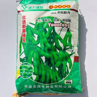 开科源5号 翠绿宝毛豆种子青黄豆早熟抗病高产鲜食毛豆大田用种孑