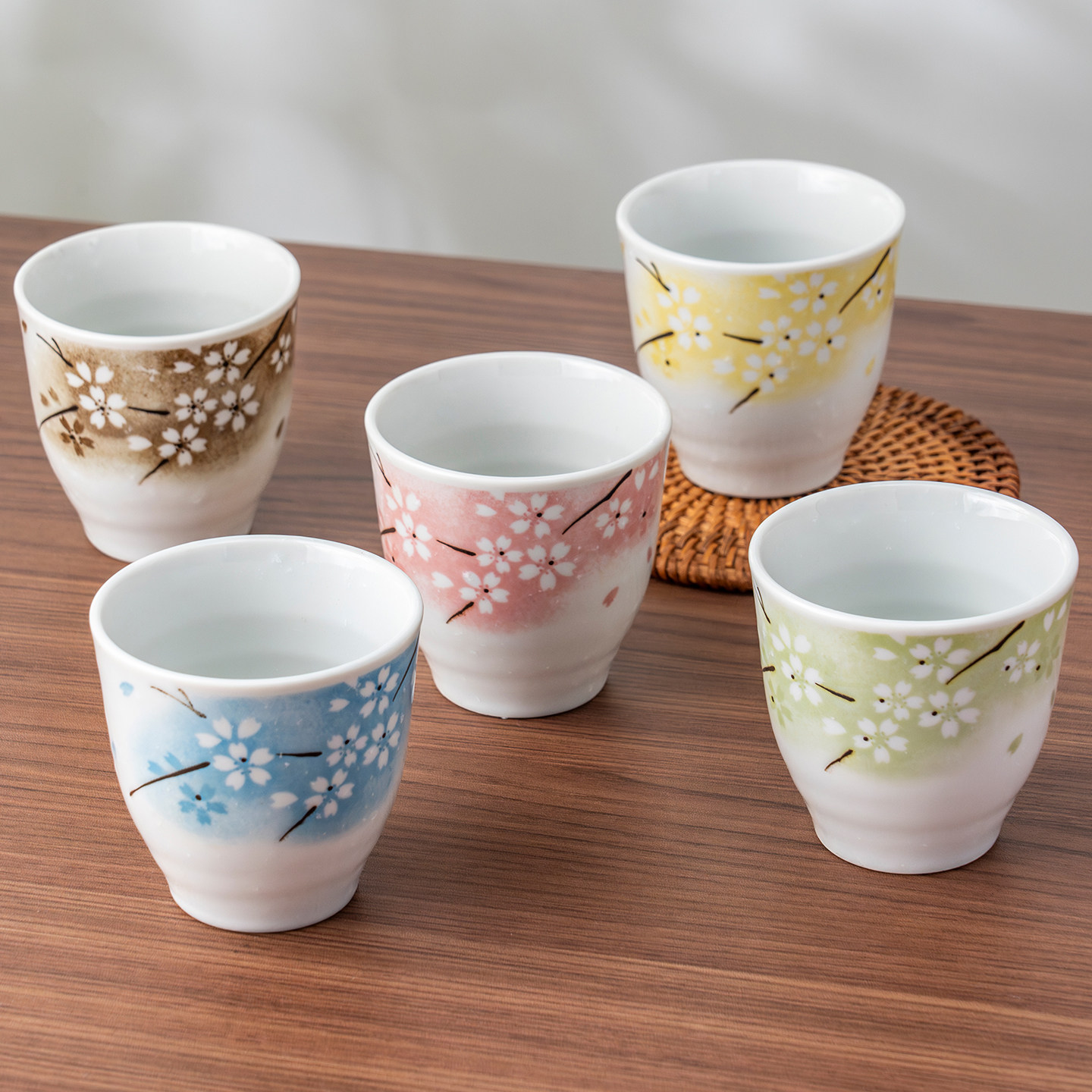 美浓烧日本进口陶瓷餐具五彩春樱花茶杯五件套-礼盒