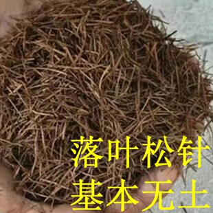 纯落叶松针腐殖土天然兰花专用配料腐叶土多肉君子兰花卉通用透气