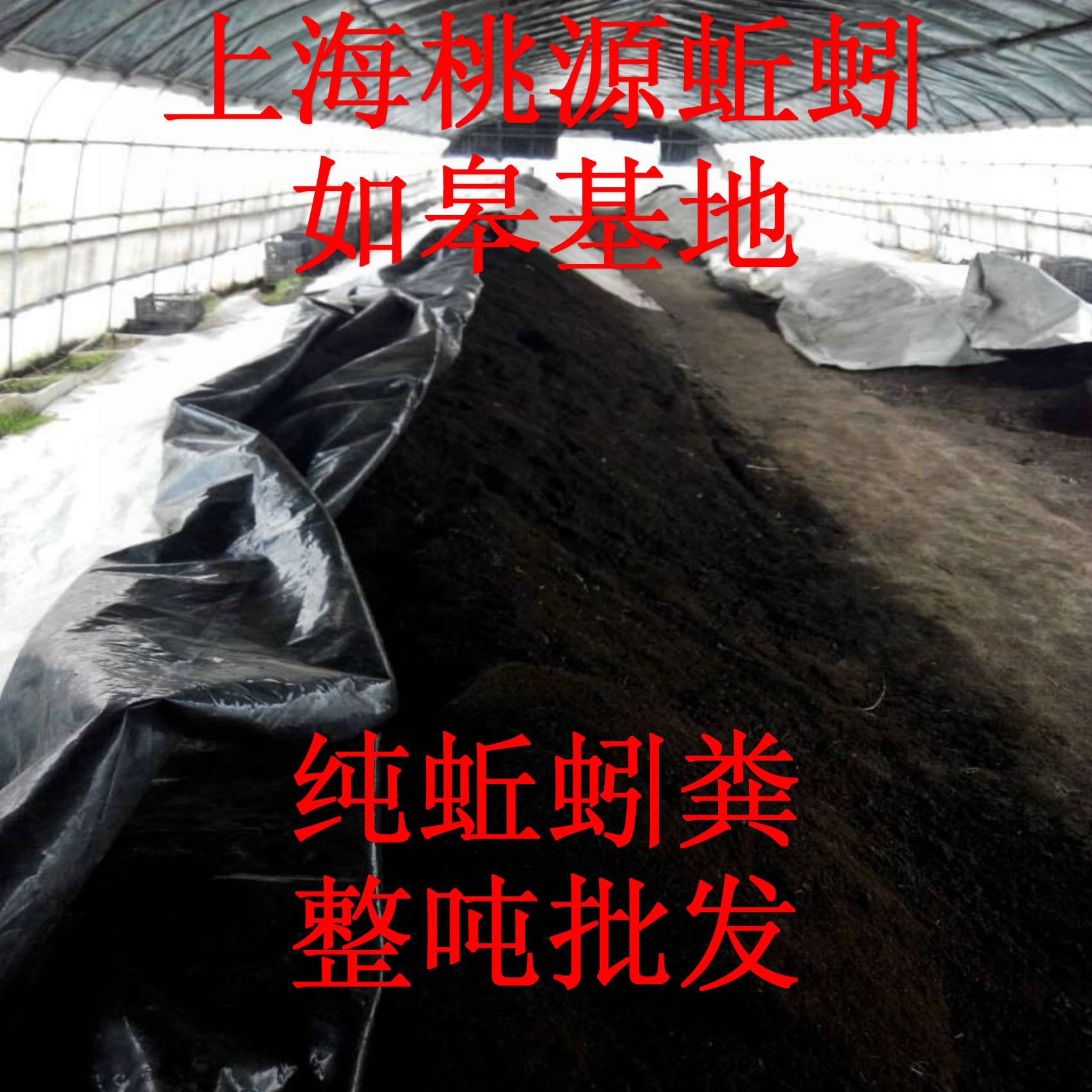 纯蚯蚓粪营养土通用型花卉蔬菜