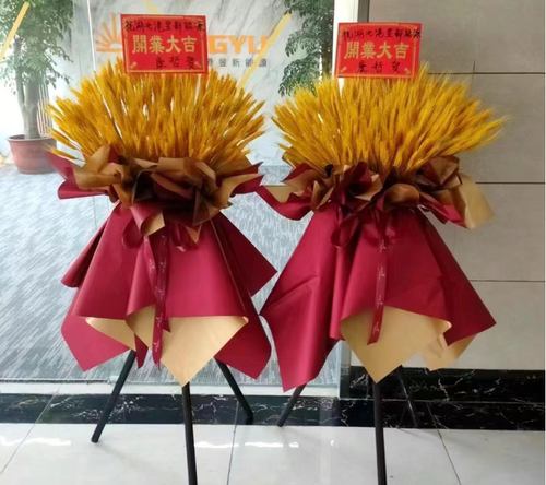 福州专送开业花篮乔迁庆典时尚韩式花篮商务用花花店大麦麦子花篮 - 封面