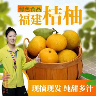 龙九恒丰正宗福建甜桔柚建阳桔子现摘新鲜大果礼盒当季孕妇水果