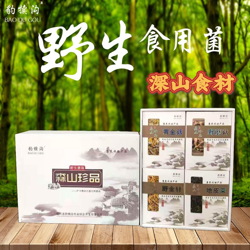 豹犊沟特产自然生长蘑菇黄金菇野金针黄花菜地皮菜地软菌类汤500g