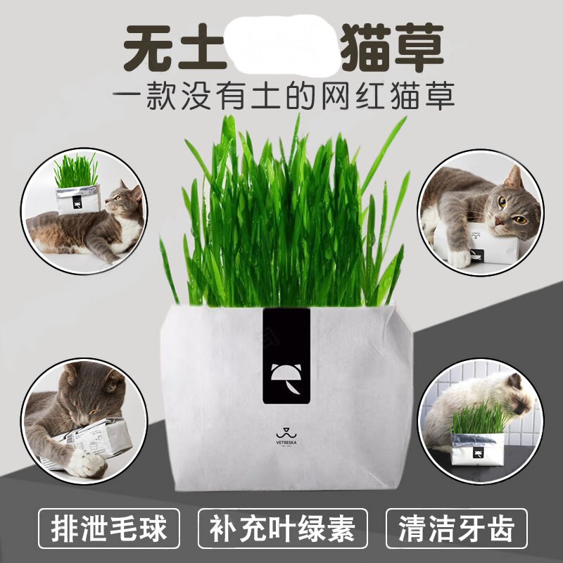未卡vetreska无土栽培猫草手工种植狗尾巴猫草猫零食吐毛球催吐 小编推荐 Wepost 全民代运 马来西亚中国淘宝代运与集运专家