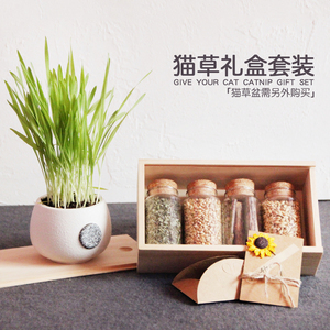 小野豹 猫咪猫草种植陶瓷花盆七彩直腰弧腰两耳可选