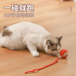 跨境耐咬自動逗貓球貓咪玩具球自嗨解悶帶繩寵物用品跳跳球