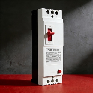 上德63安漏电开关DZ15LE-100/2901家用漏电保安器220v电闸刀保险