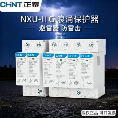 正泰浪涌保护器电涌保护避雷器防雷击家用2P4P20KA40A NXU-II G
