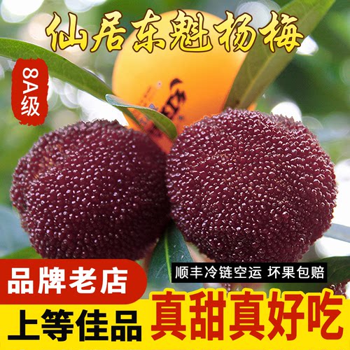 正宗仙居高山东魁杨梅 新鲜接近乒乓大杨梅水果8A颗粒礼盒装现摘