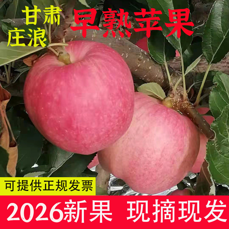 甘肃庄浪早熟金世纪嘎啦苹果脆甜爽口果园直发不打蜡整箱包邮