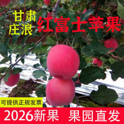 甘肃庄浪晚熟红富士苹果2026新果脆甜爽口果园直发不打蜡整箱包邮