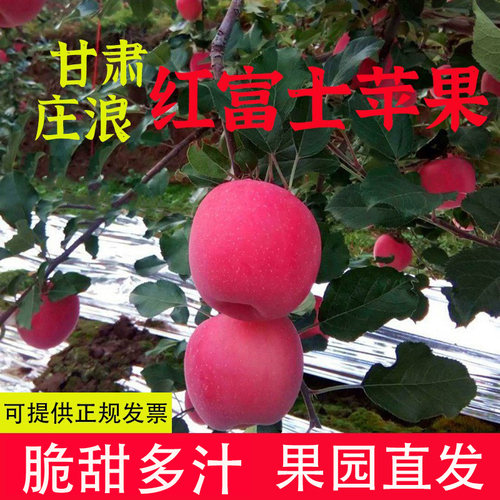 新鲜苹果红富士甘肃庄浪脆甜多汁