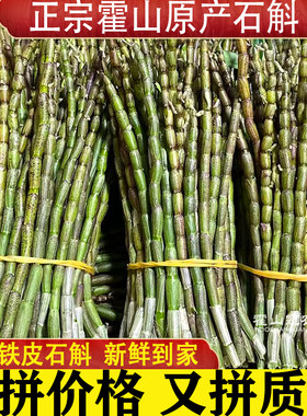 霍山铁皮石斛鲜条新鲜安徽