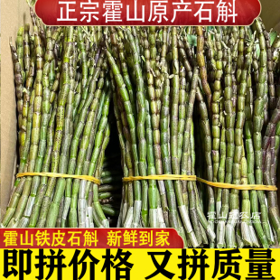霍山铁皮石斛鲜条中药材新鲜石斛官方1斤500g正品安徽冠农旗舰店