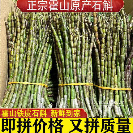 霍山铁皮石斛鲜条中药材新鲜石斛官方1斤500g正品安徽冠农旗舰店