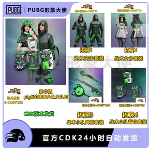 PUBG绝地求生吃鸡皮肤pigff的猪猪战术小队绿柏林绿色电磁背包CDK