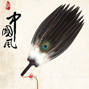 特大号黑色羽毛扇子镇宅避邪送长辈领导朋友拍摄古典道具扇工艺扇