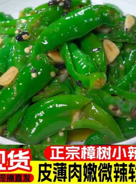 2斤湖南特产樟树小辣椒商用新鲜辣椒现摘薄皮香辣嫩青椒农家炒肉