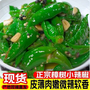 2斤湖南特产樟树小辣椒商用新鲜辣椒现摘薄皮香辣嫩青椒农家炒肉