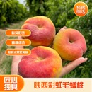 新鲜水果香甜多汁 陕西彩虹毛蟠桃新鲜王母蟠桃扁桃彩虹毛桃子当季