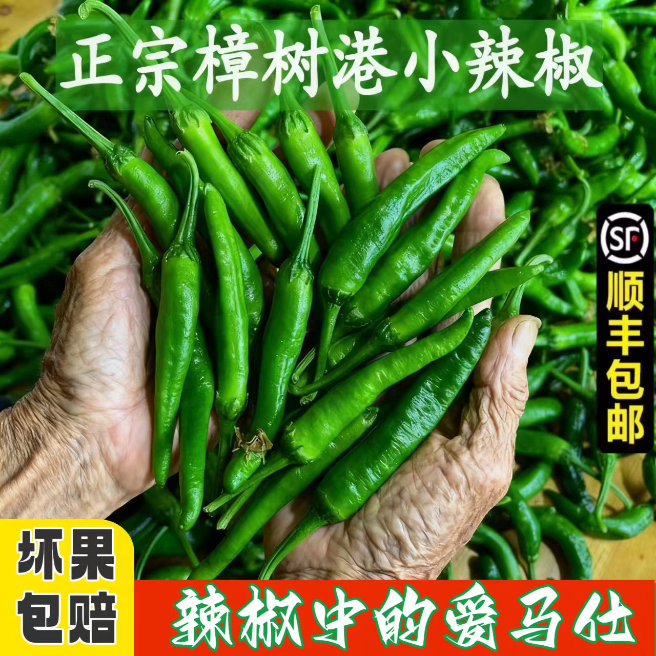 5斤湖南樟树港小辣椒新鲜辣椒现摘薄皮嫩小青椒湘菜饭馆产地直发