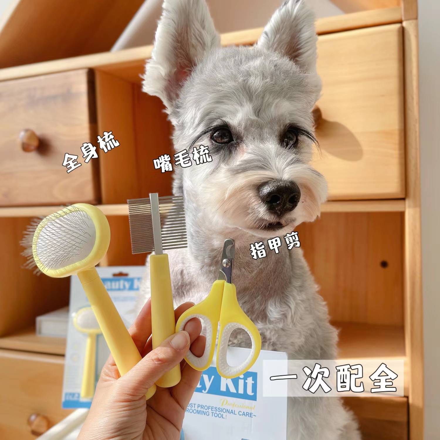 宠物指甲剪开毛梳拉毛针梳排梳