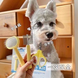 宠物指甲剪梳子3件套猫狗梳刷套装 宠物用品针梳排梳拉毛开结美容