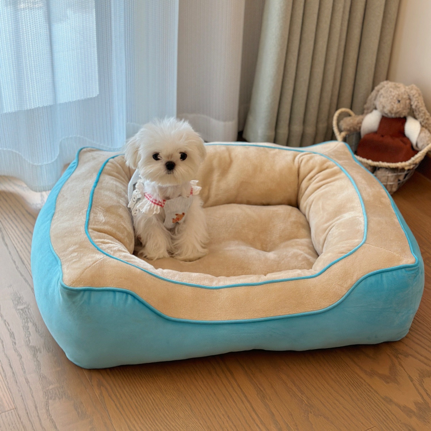 方形狗窝猫窝法斗垫子四季厚实保暖宠物睡床狗垫猫垫中小型狗床厚,宠物/宠物食品及用品,狗窝/屋/帐篷/沙发,淘宝优惠券,粉丝福利购,淘宝优惠卷