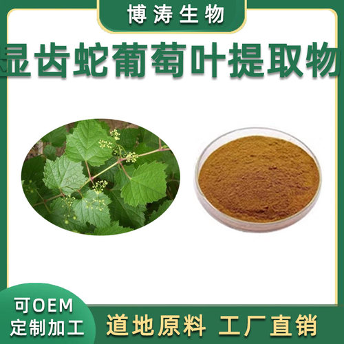 显齿蛇葡萄叶提取物 30：1 高比例浓缩萃取 食品级浸膏粉末 100克