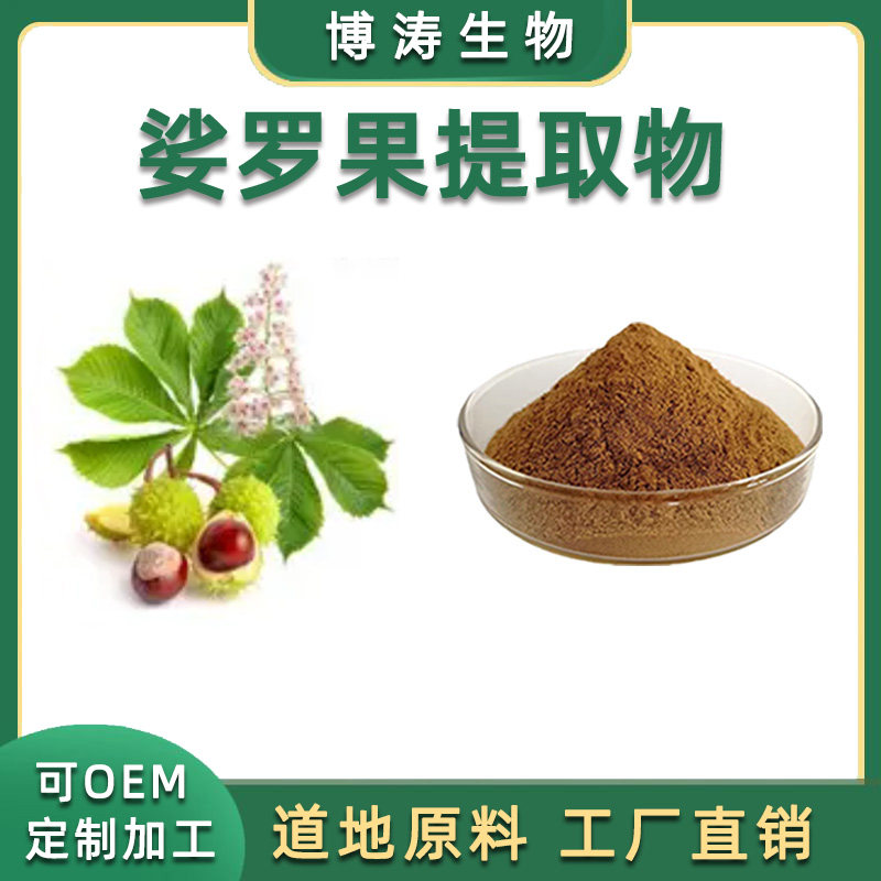 娑罗子提取物 30:1娑罗果婆罗子七叶树浓缩萃取精华
