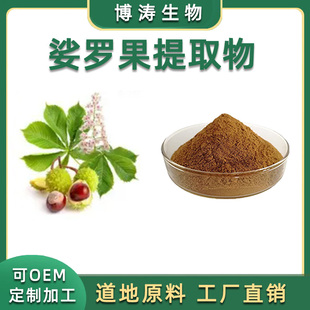 娑罗子提取物 30:1娑罗果婆罗子七叶树浓缩萃取精华