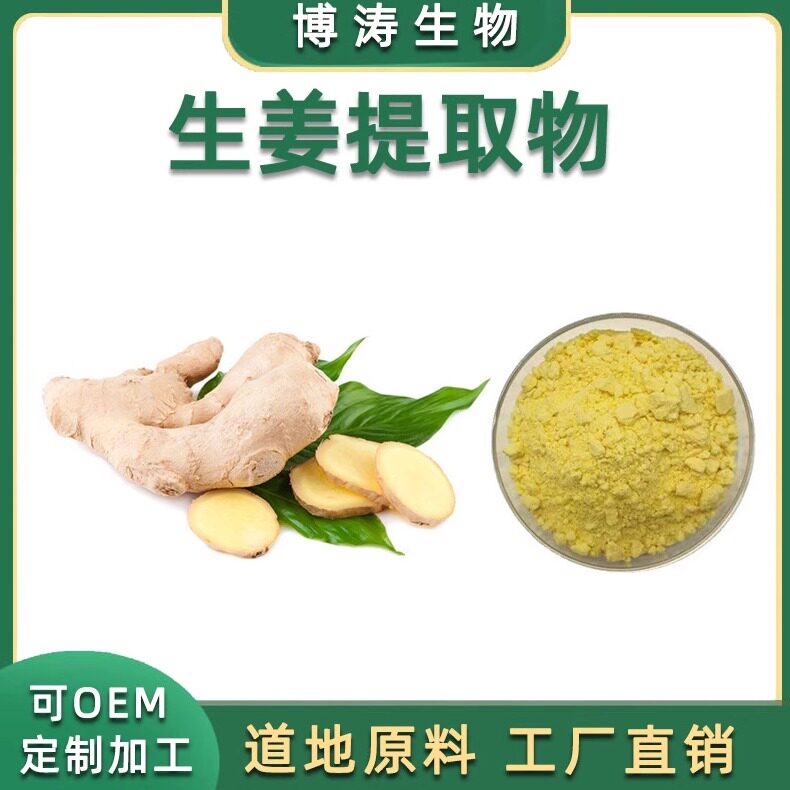 生姜提取物浓缩免煎粉1g