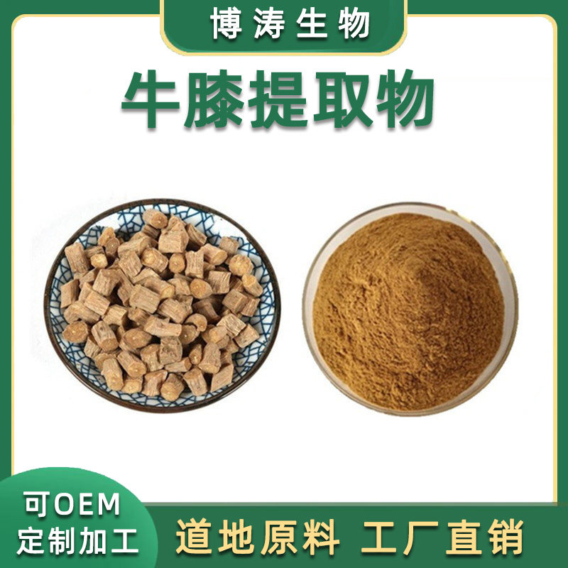 川牛膝提取物 30:1川牛膝提取物 浓缩粉 牛膝多糖萃取品质包邮