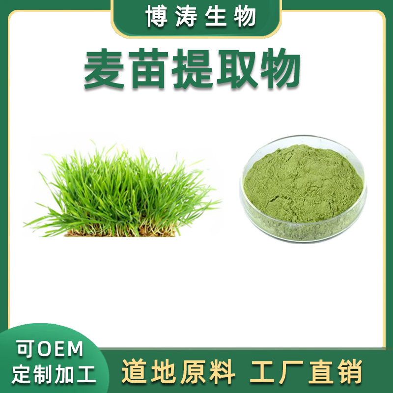 麦苗提取物 麦苗粉99%大麦苗/小麦苗提取物粉 比例水溶粉 送量勺
