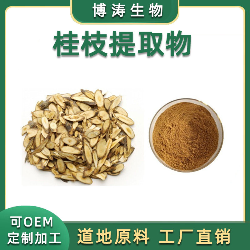 桂枝提取物天然浓缩精华原料粉末