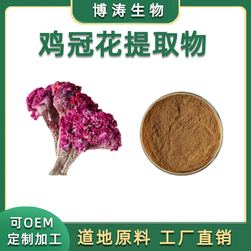 鸡冠花提取物 30:1高比例 鸡冠花浓缩粉喷雾干燥工厂直供 品质
