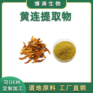 黄连提取物 黄连素 97% 黄连浓缩粉 黄连水溶免煎粉
