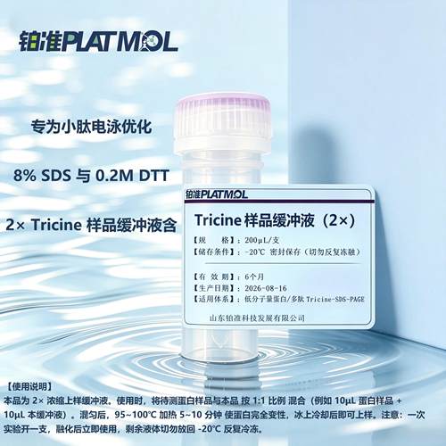 Tricine SDS-PAGE上样缓冲液 2×低分子量蛋白小肽电泳预混 DTT