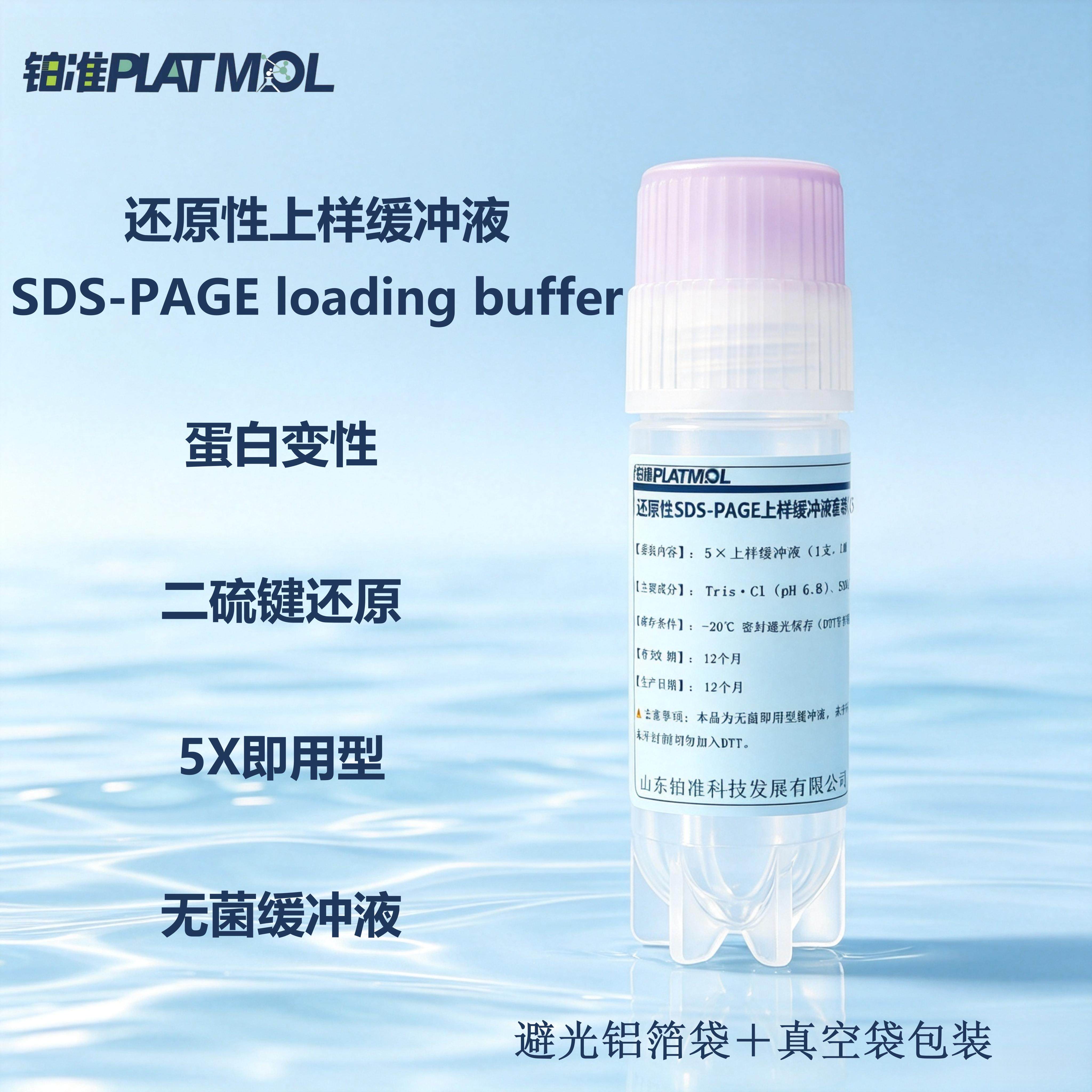 还原性上样缓冲液SDS-PAGE 缓冲液蛋白变性二硫键还原无菌缓冲液